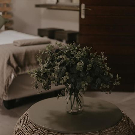 Villa Rose Guesthouse & Venue 블룸폰테인 외부 사진